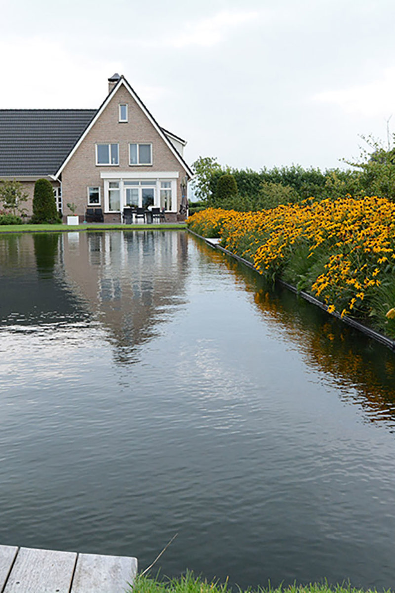 Zwemvijverdsc 7042