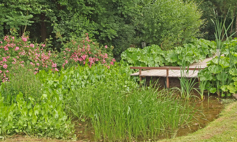 3005 Dscf1396corrmed