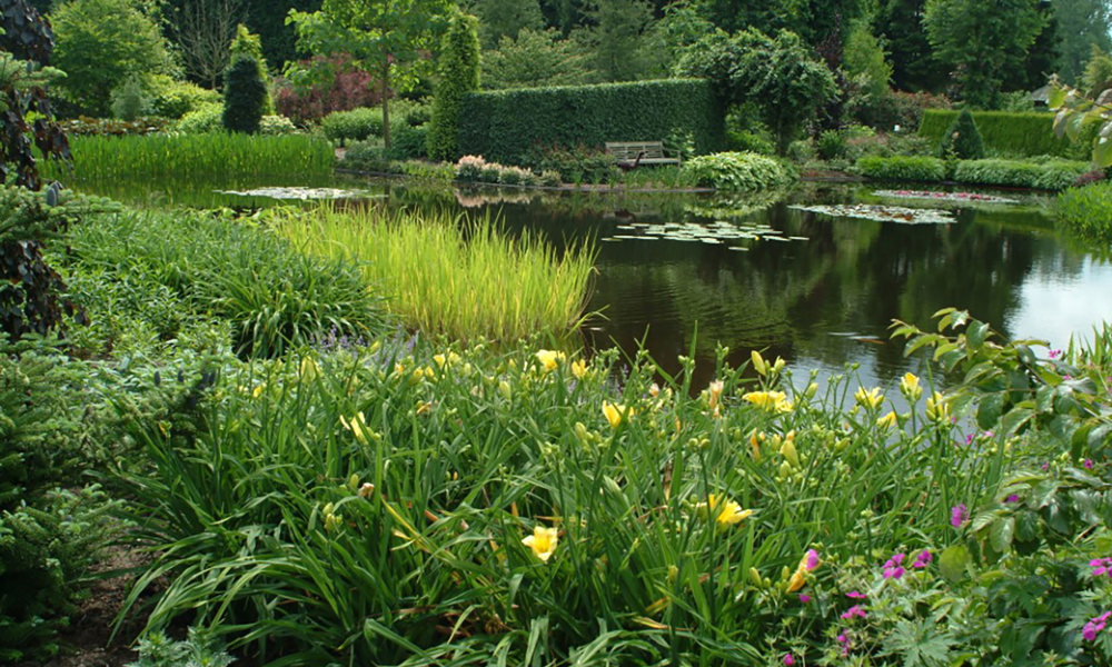 2001 Plantenvijverdscf3661