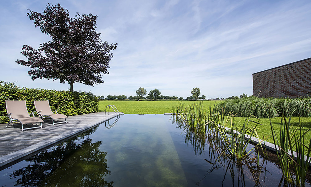 Zwemvijver Studiopsg.Be 3249