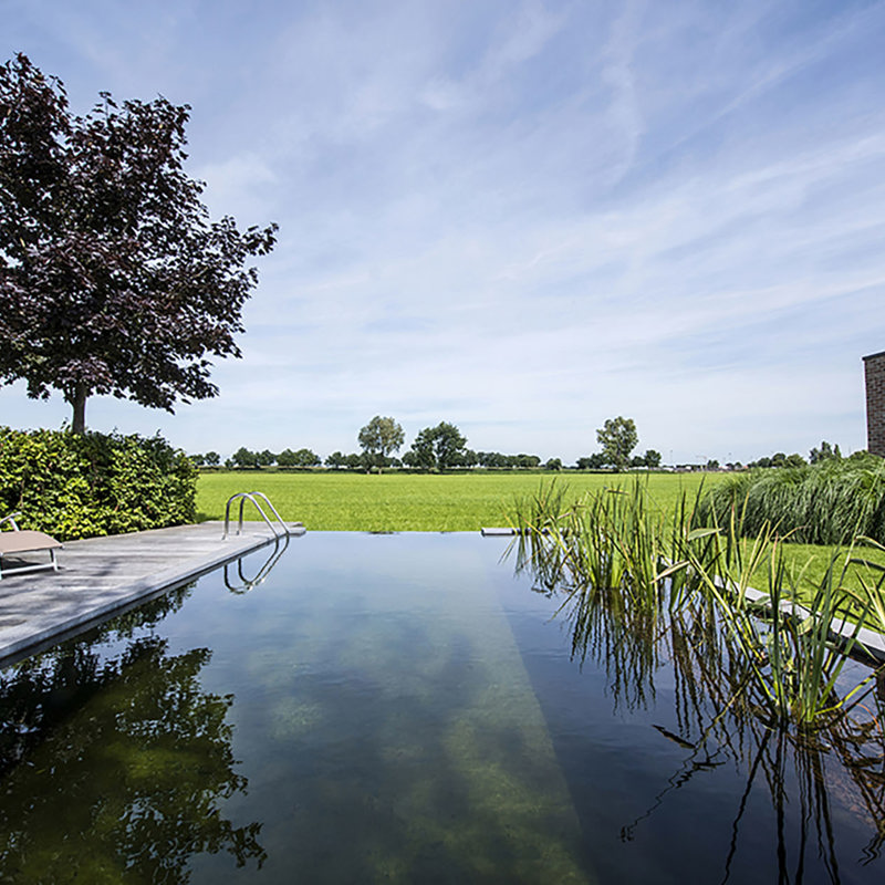 Zwemvijver Studiopsg.Be 3249
