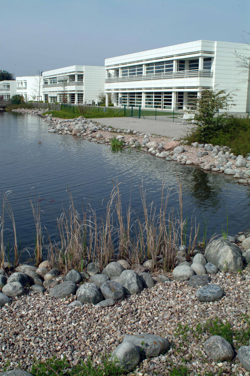 Vijverbiotoop (1)