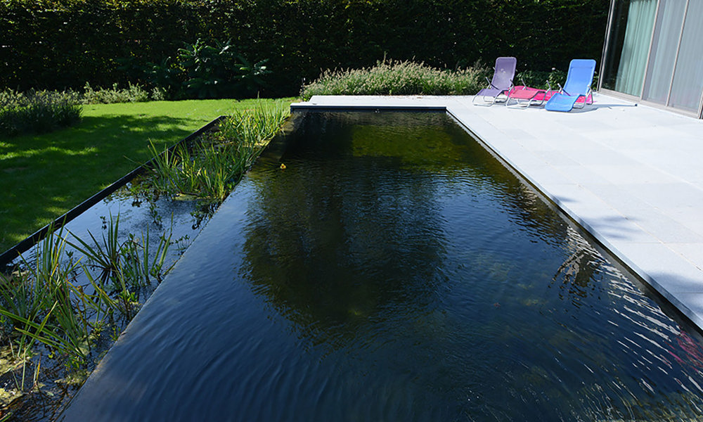 604 Zwemvijver2016dsc 2074