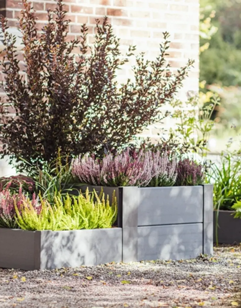 Web Ecoo Kitchengarden 2022 7