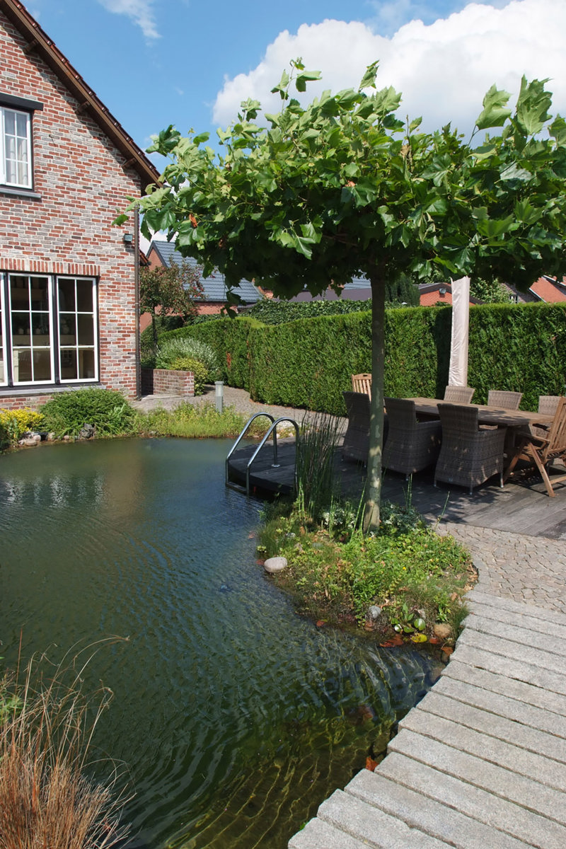 Vijver Aan Woning